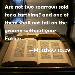 Message - Bible two sparrows Matthew 10.29